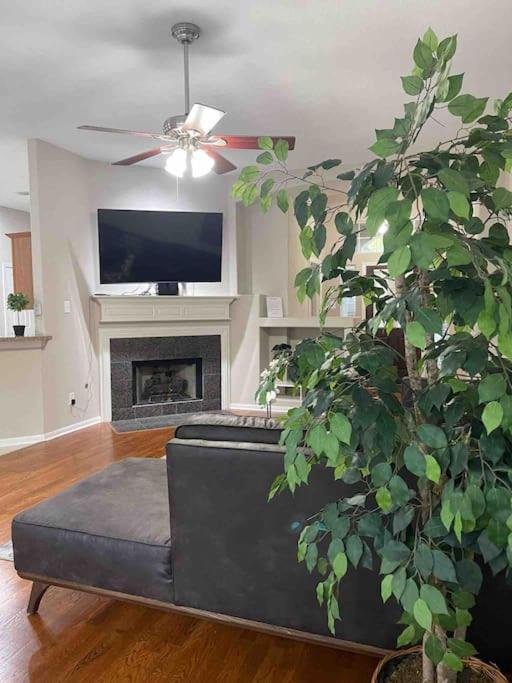 Hébergement de vacances Lovely Woodlands W/heated Pool And Spa! Spring